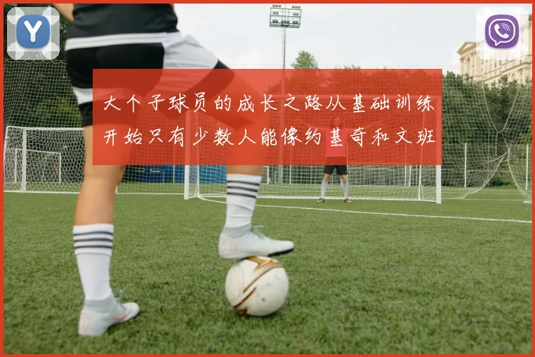 大个子球员的成长之路从基础训练开始只有少数人能像约基奇和文班那样成功