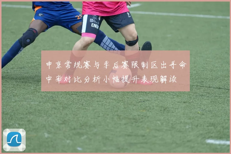 申京常规赛与季后赛限制区出手命中率对比分析小幅提升表现解读